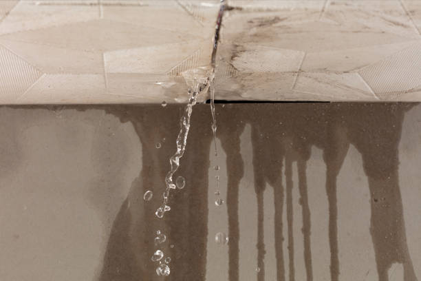 Professional Sewage Cleanup technician working in Newport, WA